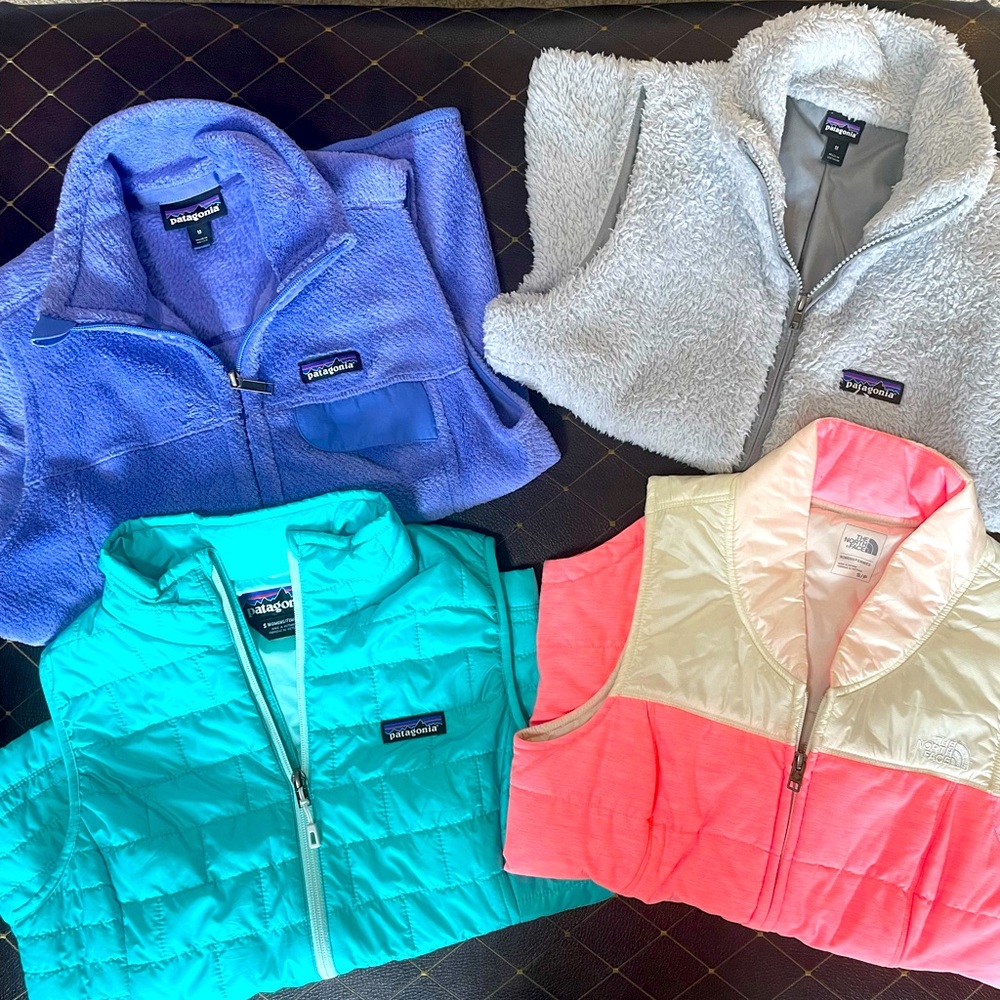 4 perfect condition Patagonia and northface vests.